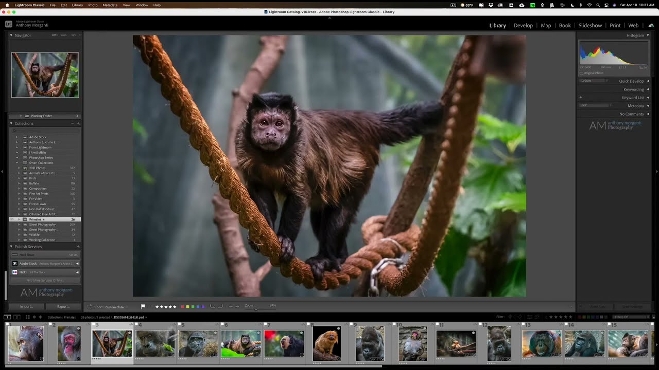 Create a Slideshow n Lightroom by Anthony Morganti
