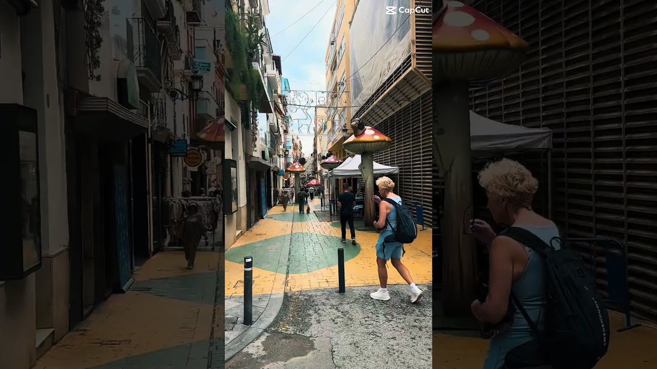 Travel 2025 