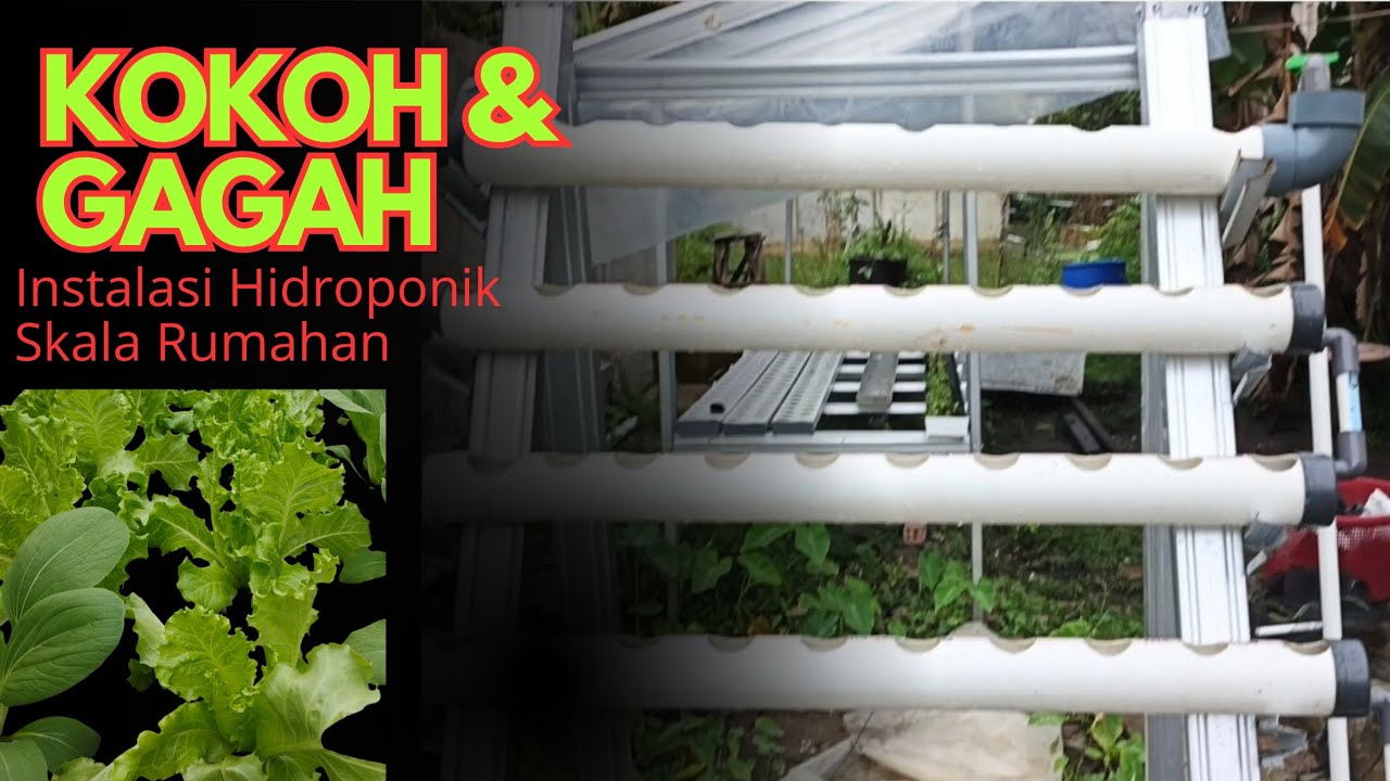 Siap dikirim, Instalasi Hidroponik Skala Rumahan,Kantor, Sekolah