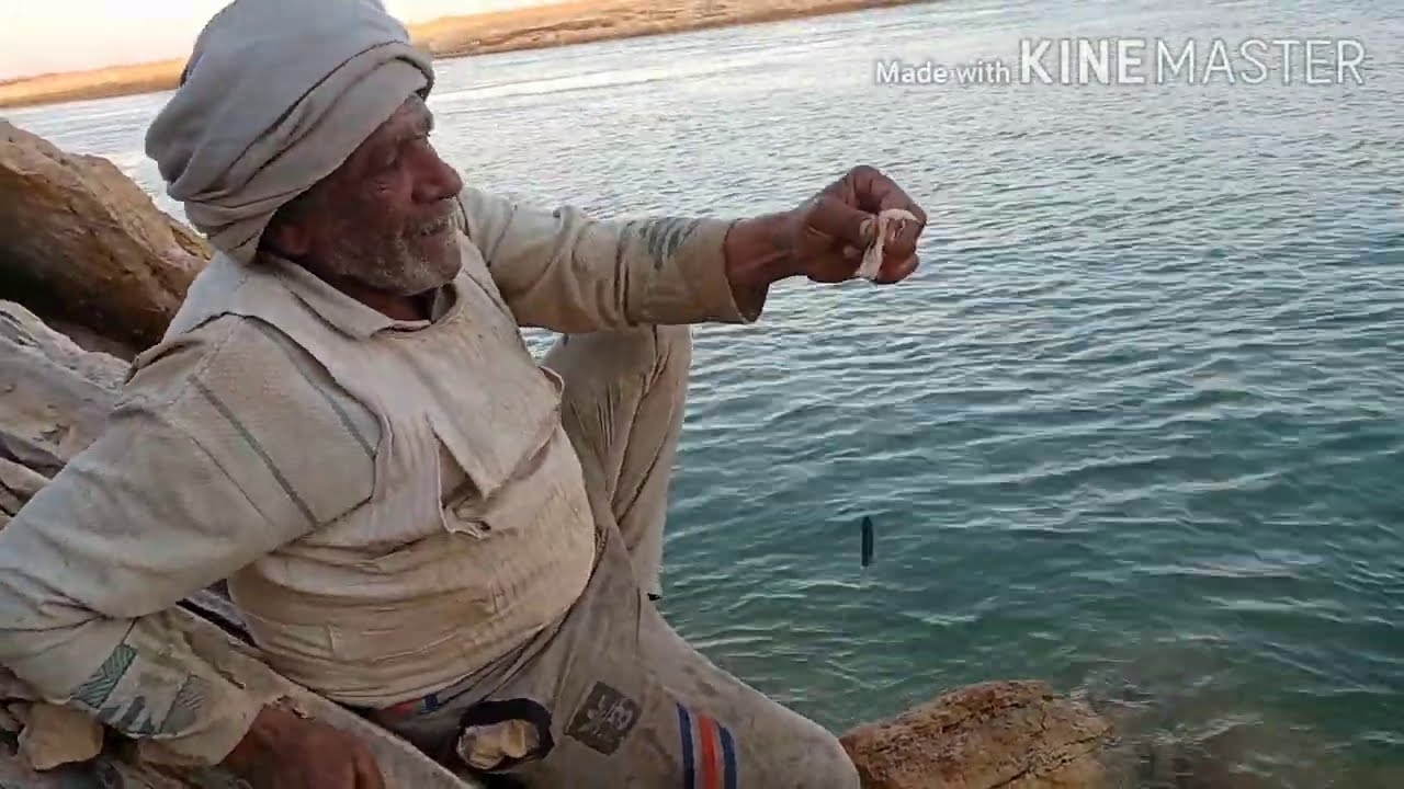 اكتشاف في مفيض توشكى وبحيره ناصر الطعمة السحرية لصيد قشر البياض