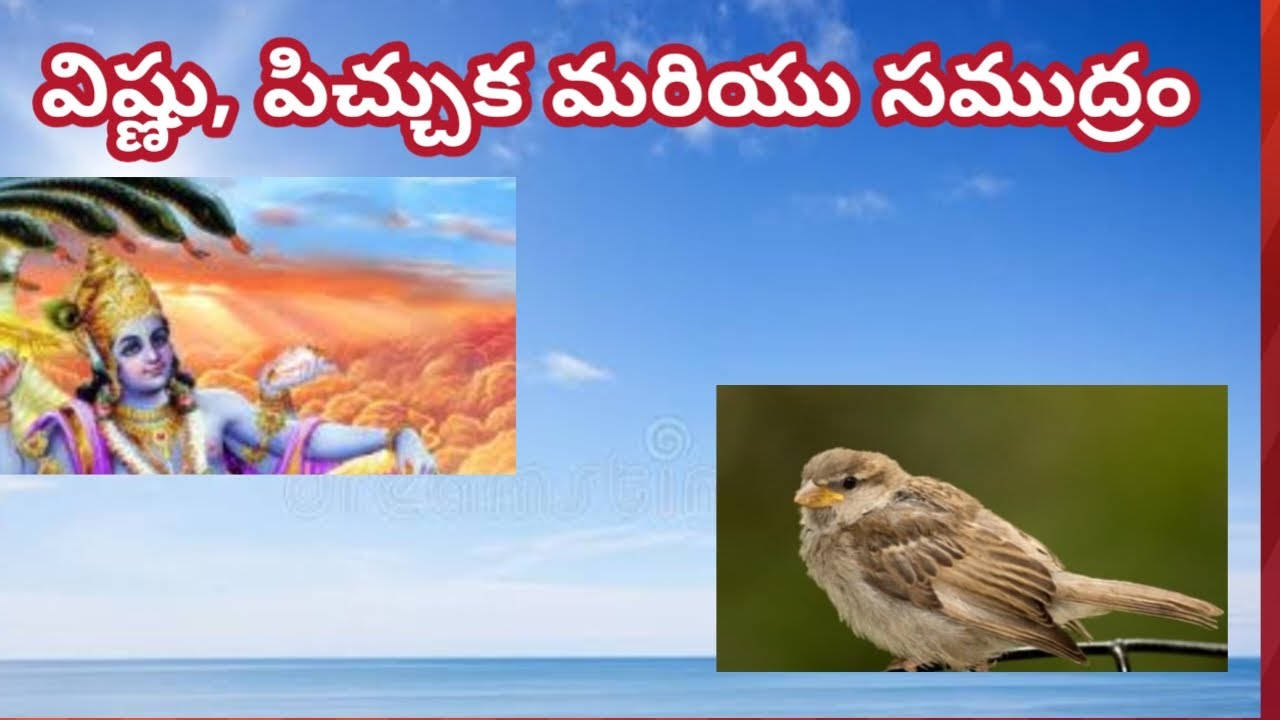 విష్ణు పిచ్చుక మరియు సముద్రం#story #like #subscribe #support 