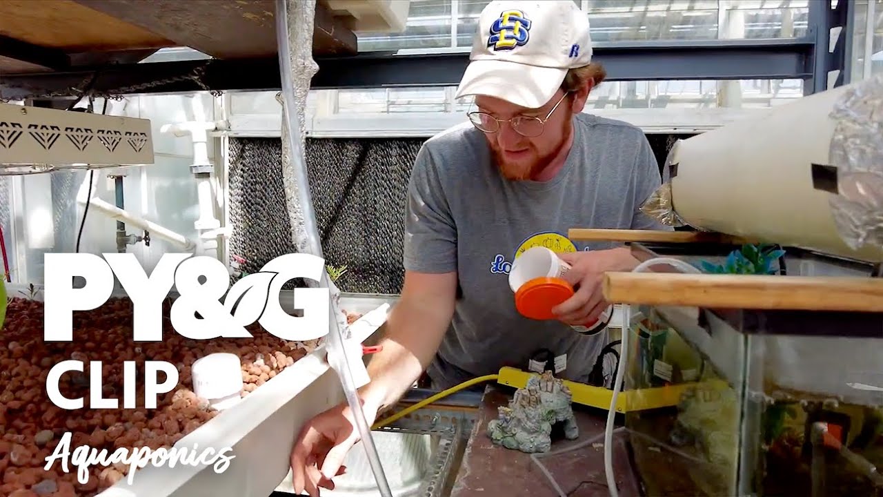 Aquaponics | SDSU Local Foods | Prairie Yard & Garden 3602