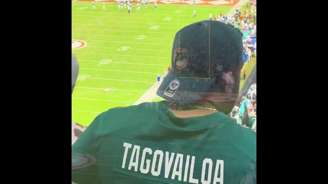 Miami Dolphins Game!