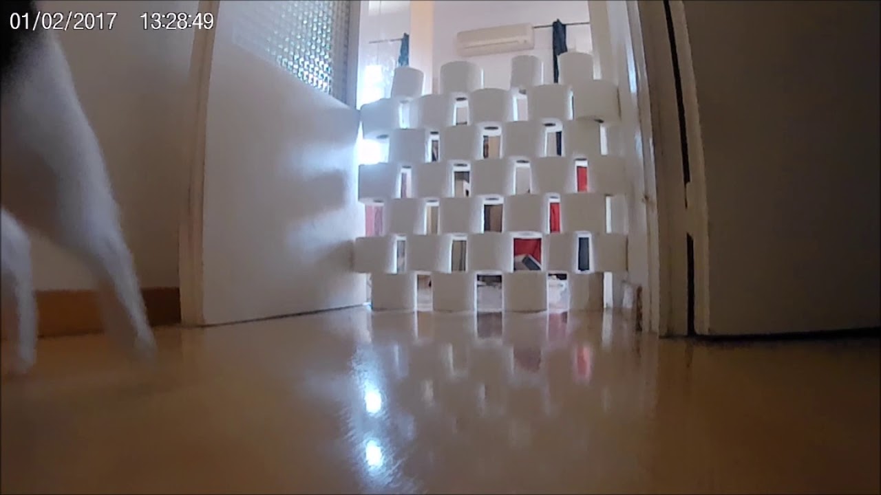 MAKI CHAN training montage