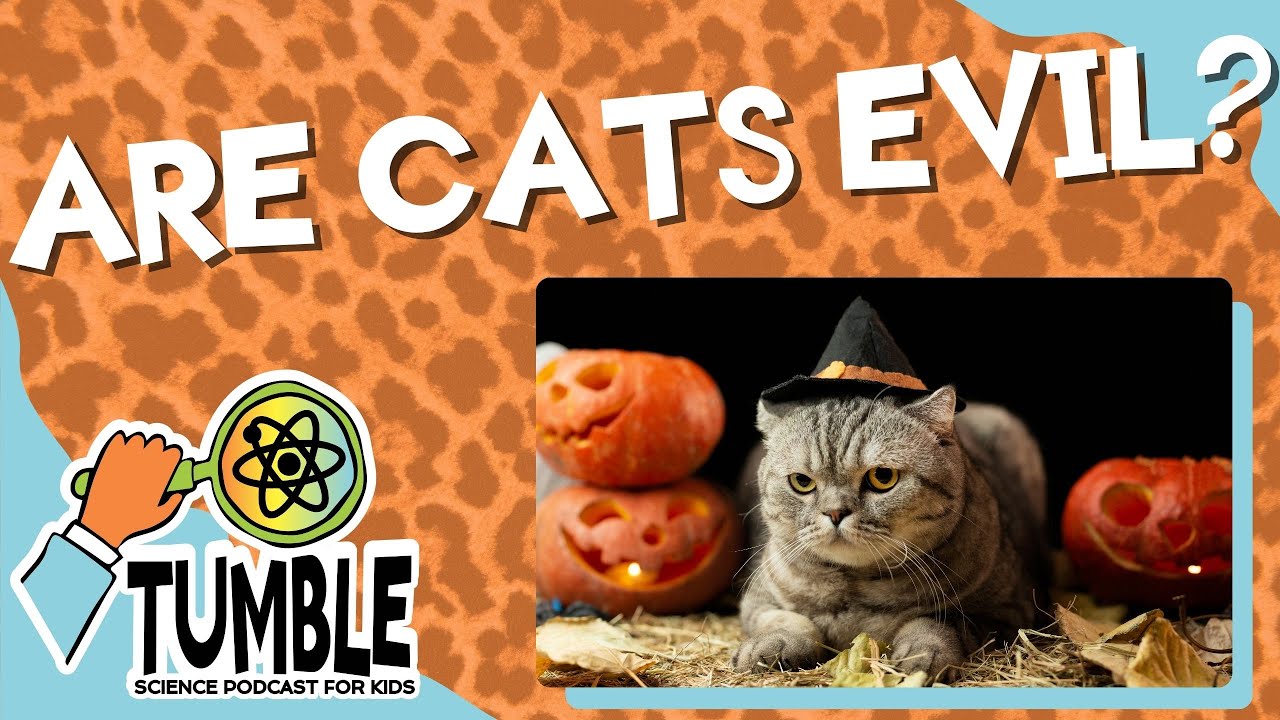 Are Cats Evil? - Tumble Science Podcast for Kids