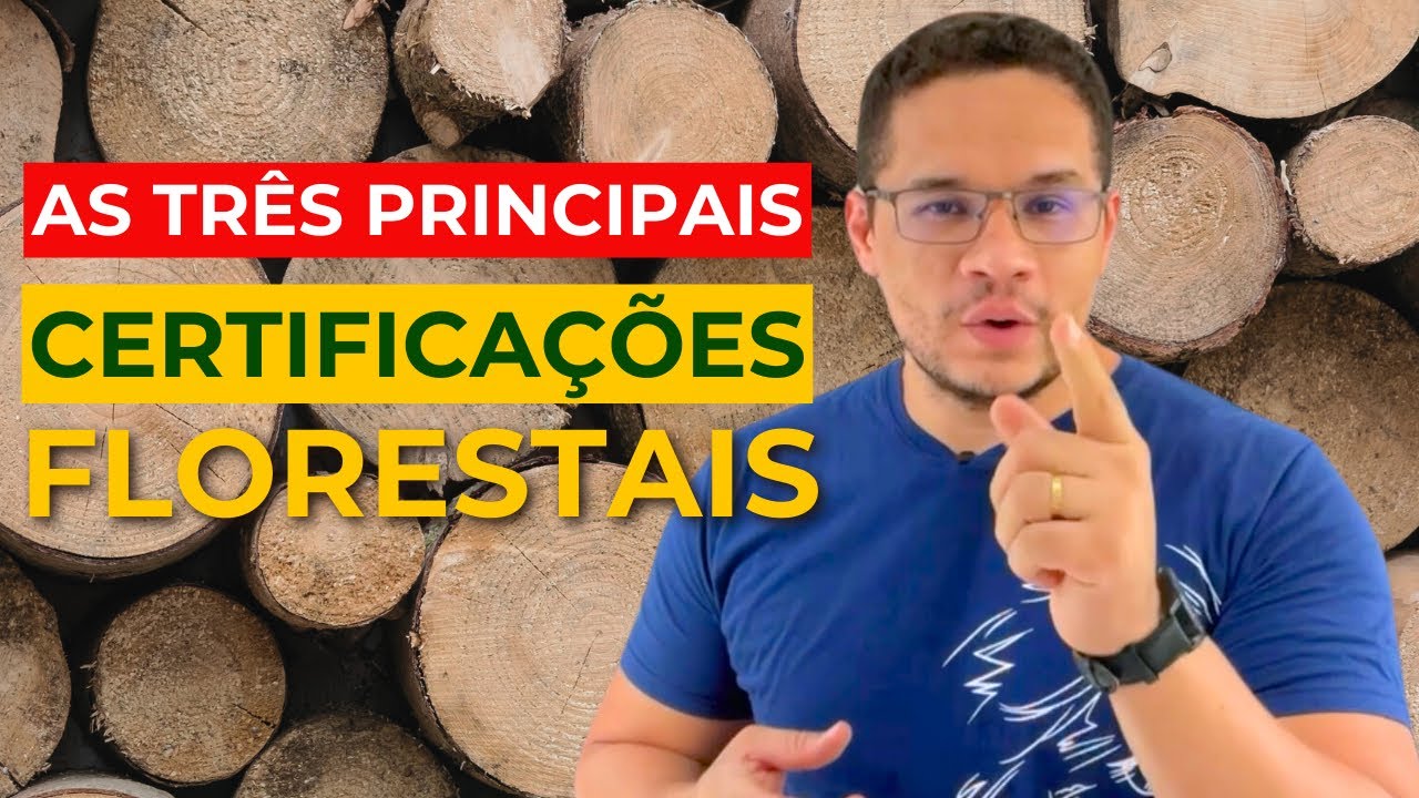 O que s&atilde;o as Certifica&ccedil;&otilde;es Florestais: FSC, PEFC e CERFLOR #fsc #cerflor #pefc