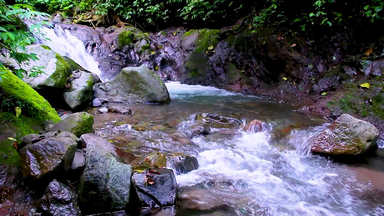 Peaceful Relaxation with Slow Mountain River Water Flow and White Noise