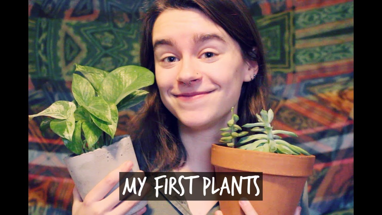 My First House Plants!