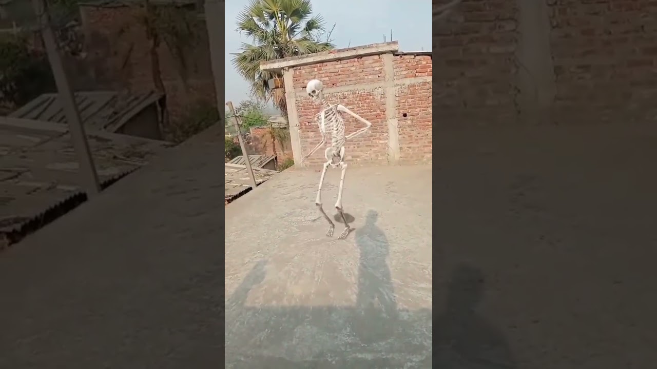 Bhoot wala sound remix  #shotsvideo #musicgenre #dancegenre (#Guddu block office #)💀💀👻☠️