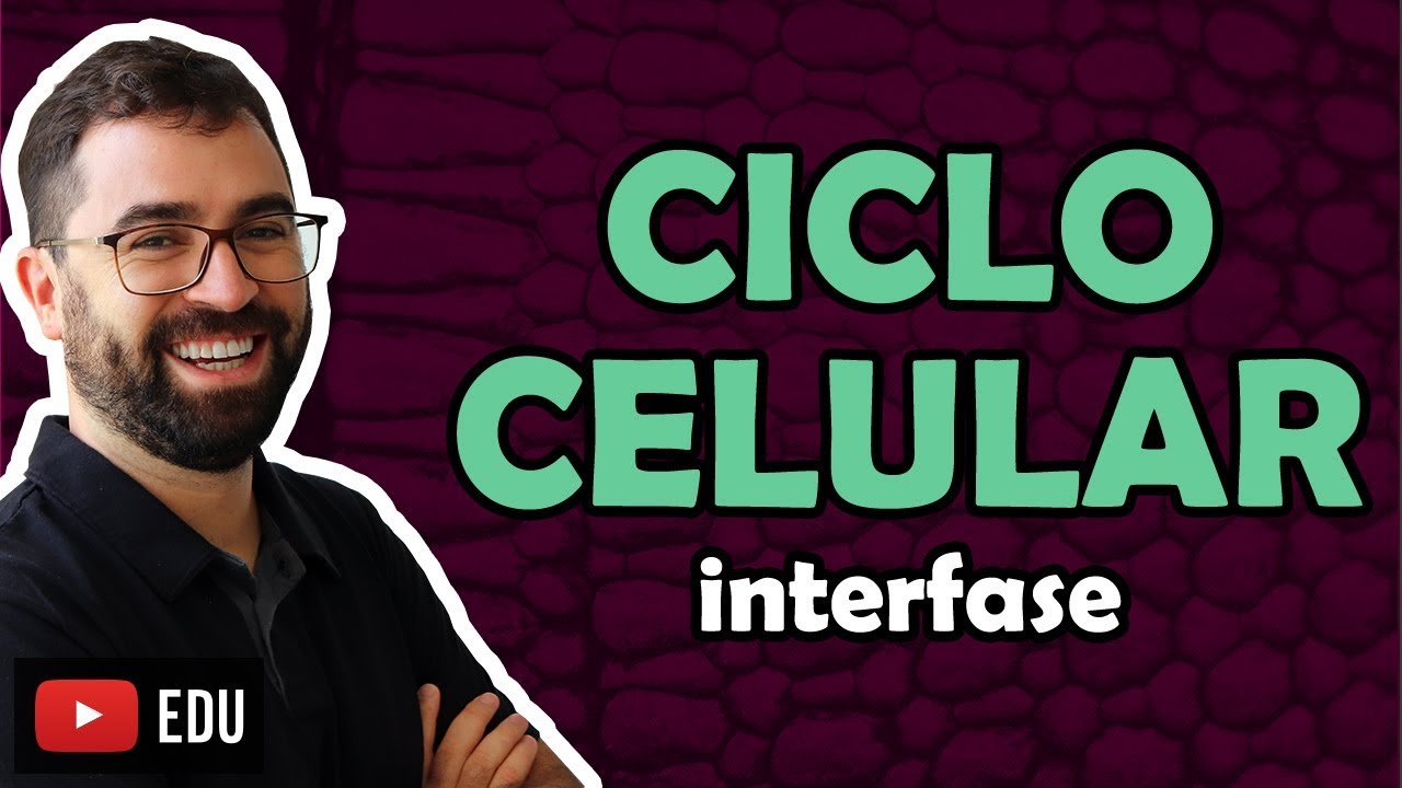 Ciclo Celular: Interfase - Aula 31 - M&oacute;dulo I: Biologia Celular | Prof. Gui