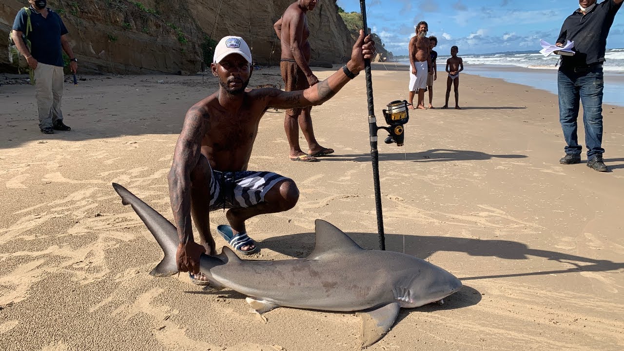 Can't Believe We Caught This! Ep 57 *Shark On The Surf Trinidad & Tobago*