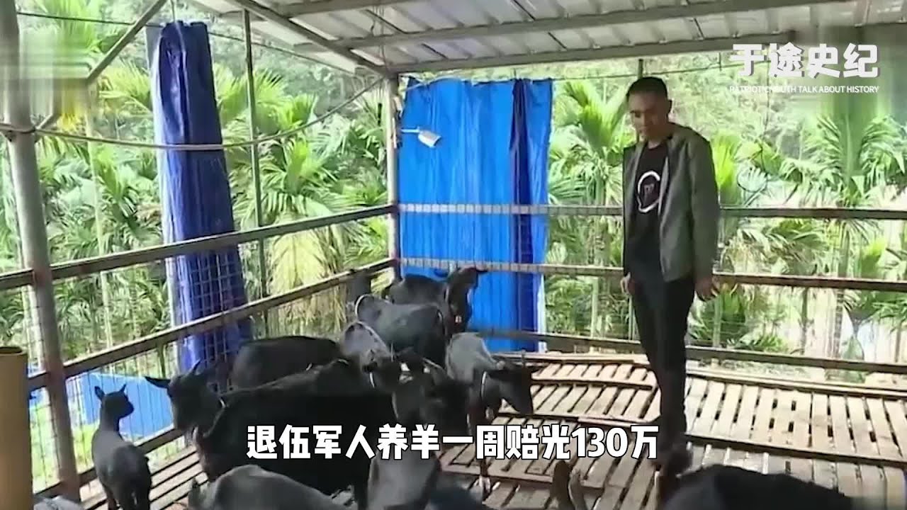 小伙為了養村里沒人敢養的羊，一周賠光130萬，躲進深山年賺700萬 #于途史紀 #古墓 #考古發現 #考古 #盜墓筆記