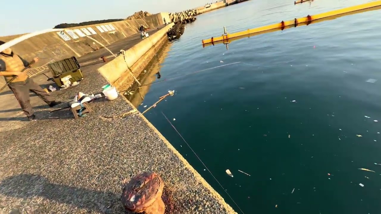 オキアミでタンパク質を摂りにきたよ！