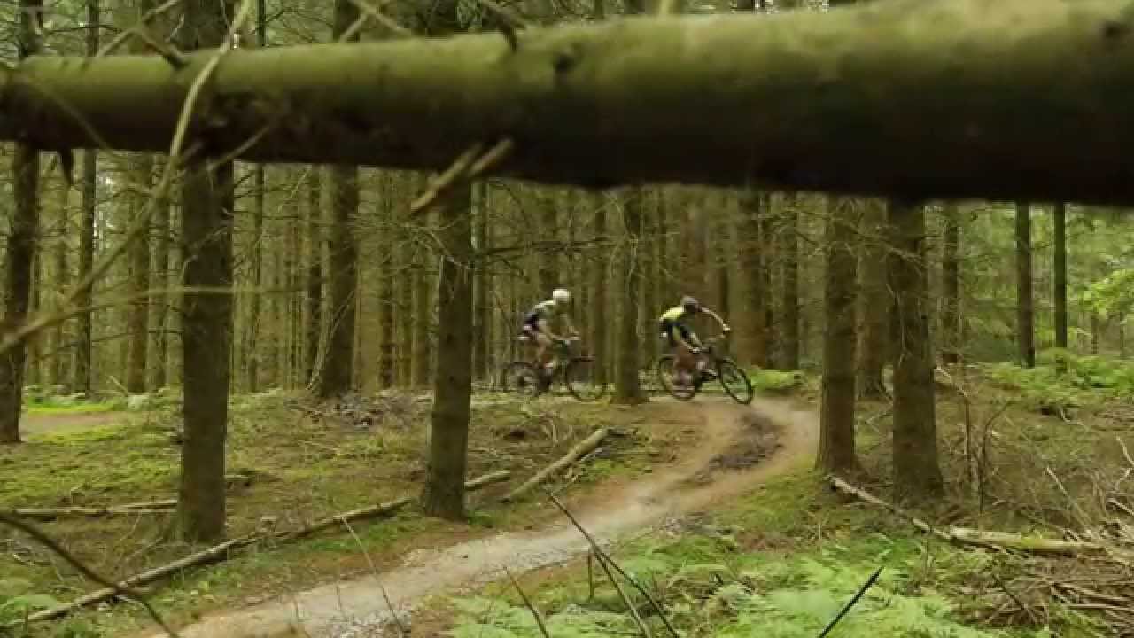 Rold & Rebild Bakker