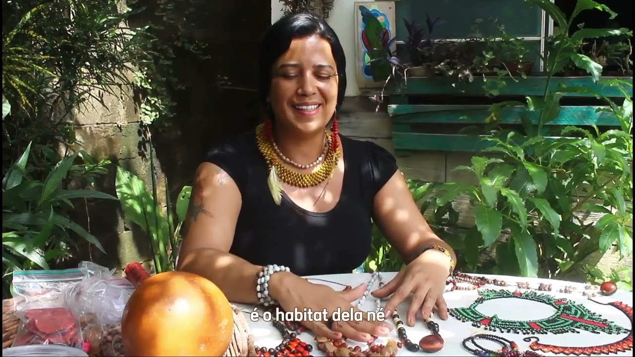 Ñaman Meripa - Sabedoria Ancestral (2025) - Legendado