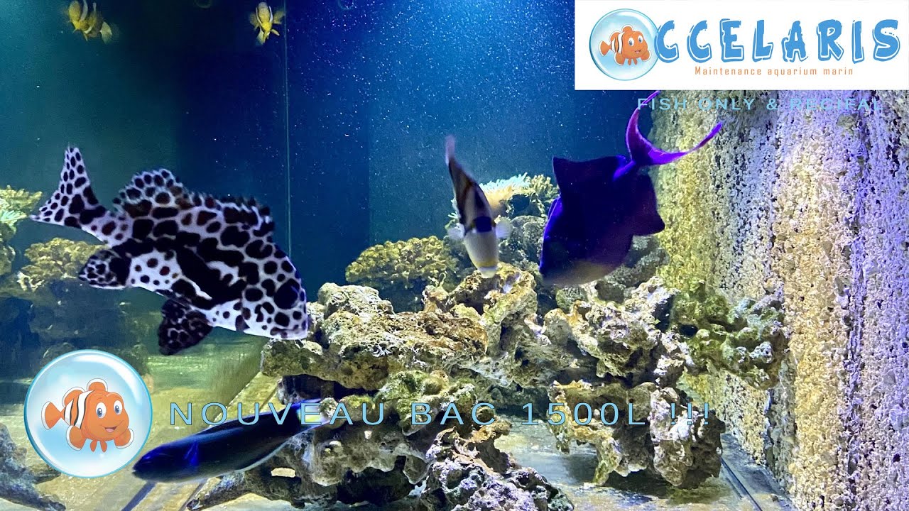 NOUVEAU BAC FISH ONLY de 1500L !!!