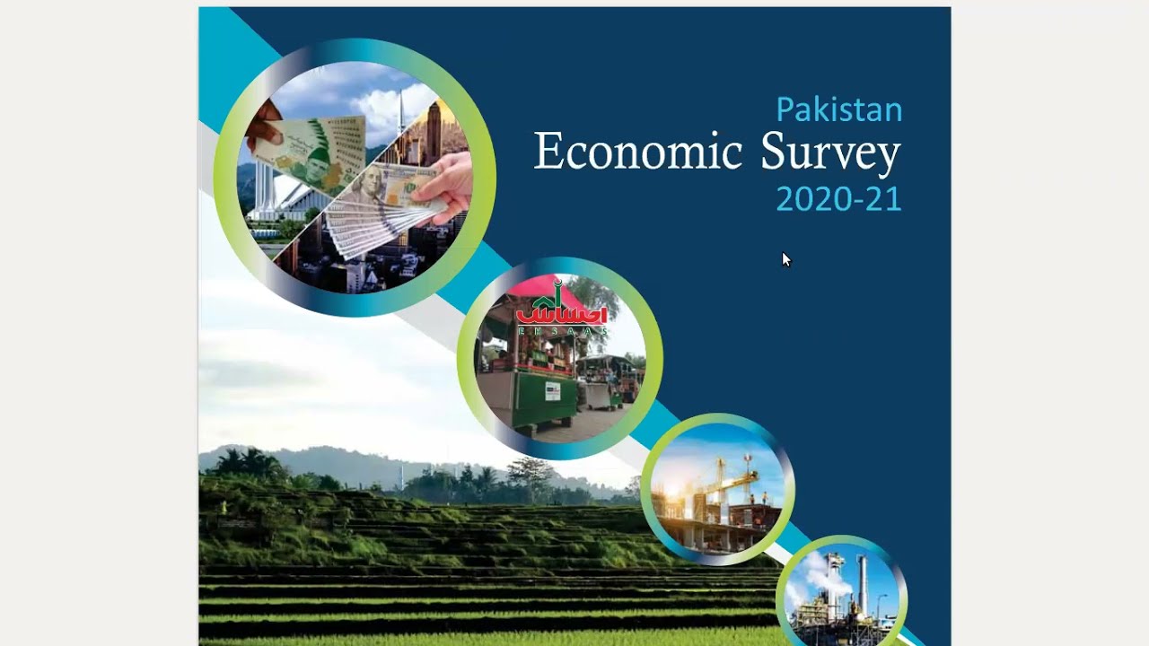 Pakistan Economic Survey 2020 2021, Quick Review for CSS l PMS l PMS