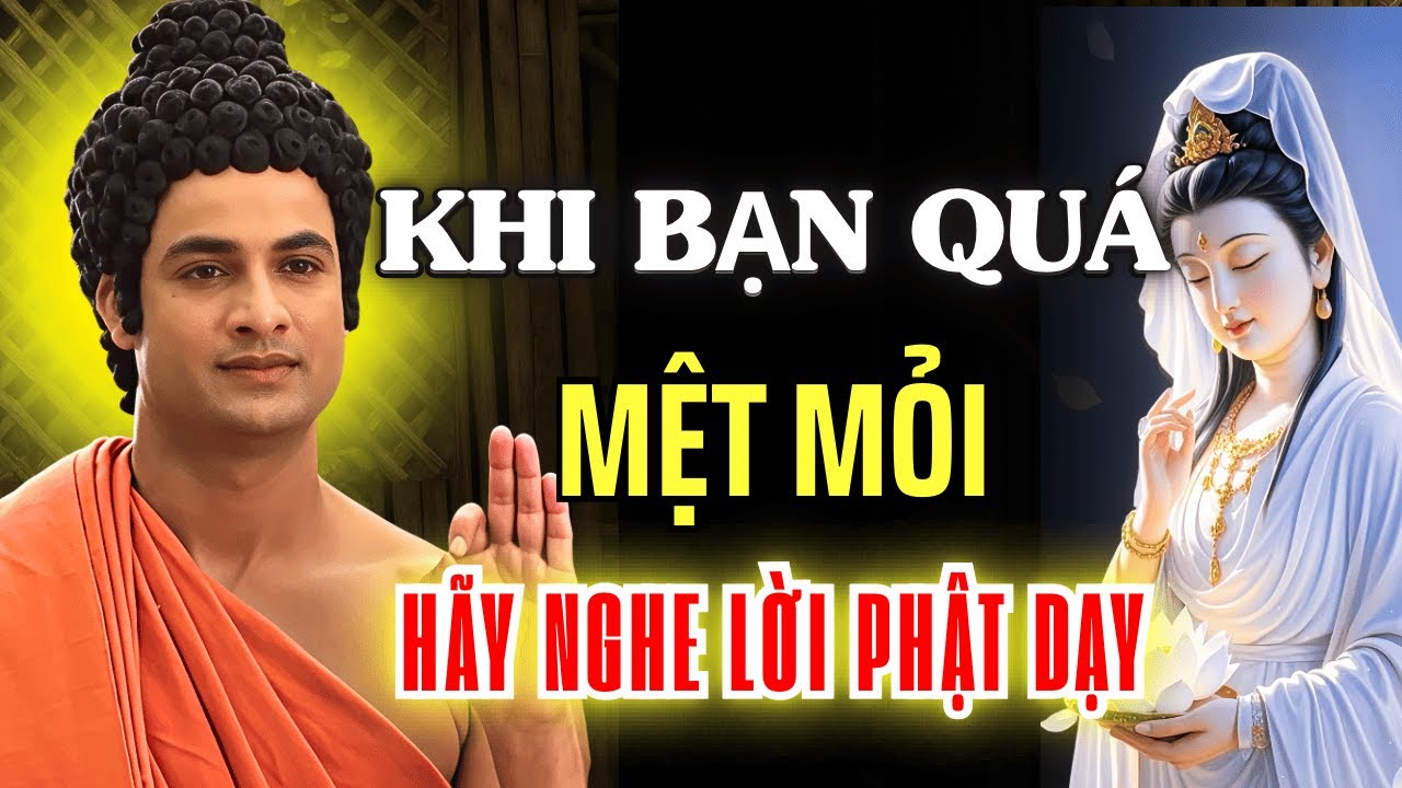 Khi Mọi Thứ Chống Lại Bạn, Hãy Nghe Lời Phật Dạy – Bí Quyết Buông Xả Để Tâm Được Bình An