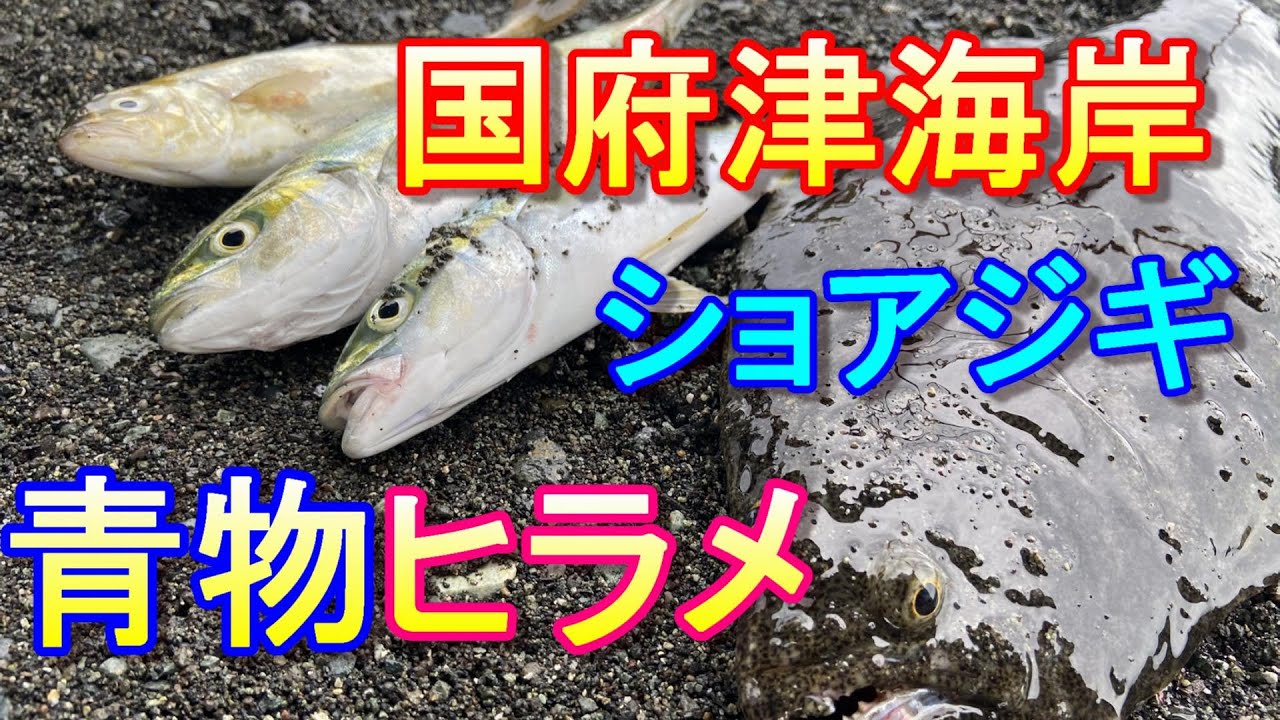 【国府津海岸】ショアジギング　釣り　湘南サーフでヒラメと青物を釣る！