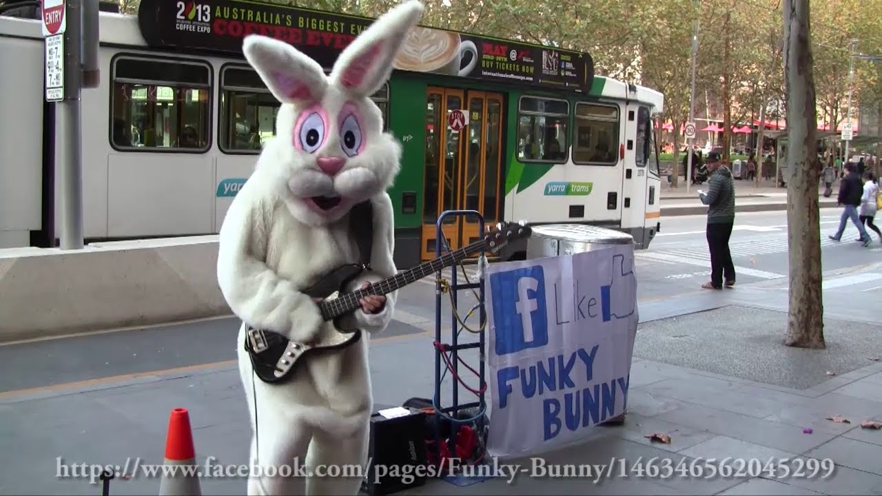 Melbourne's Funky Bunny - Various Covers 1