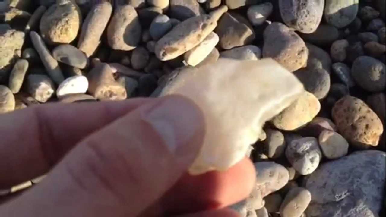 Agate hunting on Oregon Santiam River