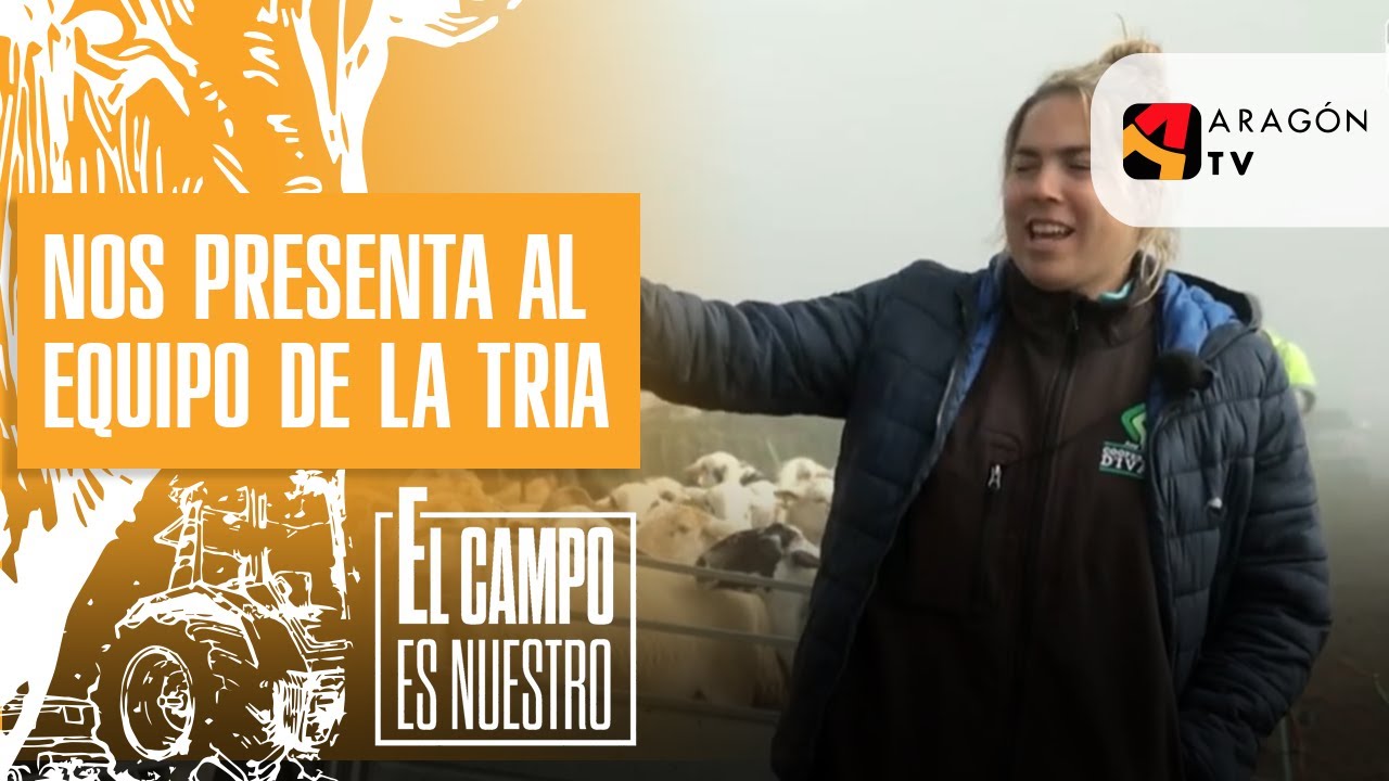 Judit nos presenta al equipo de la tría