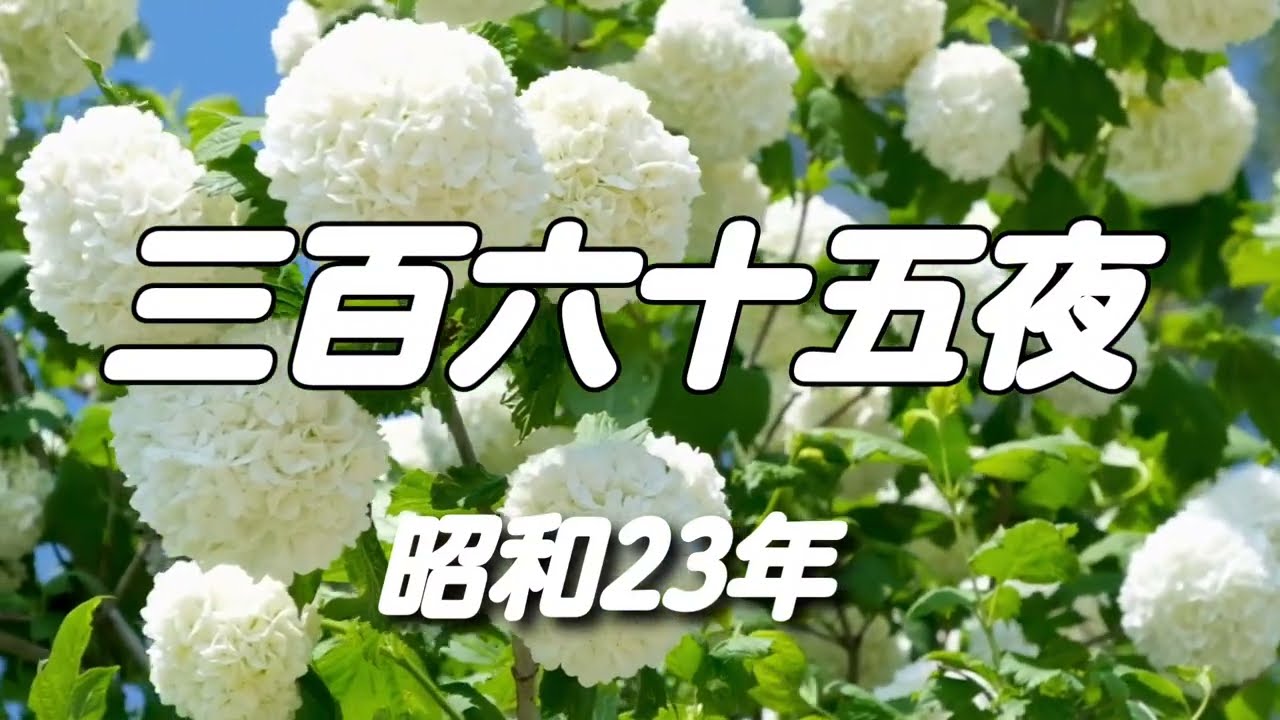 三百六十五夜〽️舟木一夫(cover)  作詞/西条八十  作曲/古賀政男