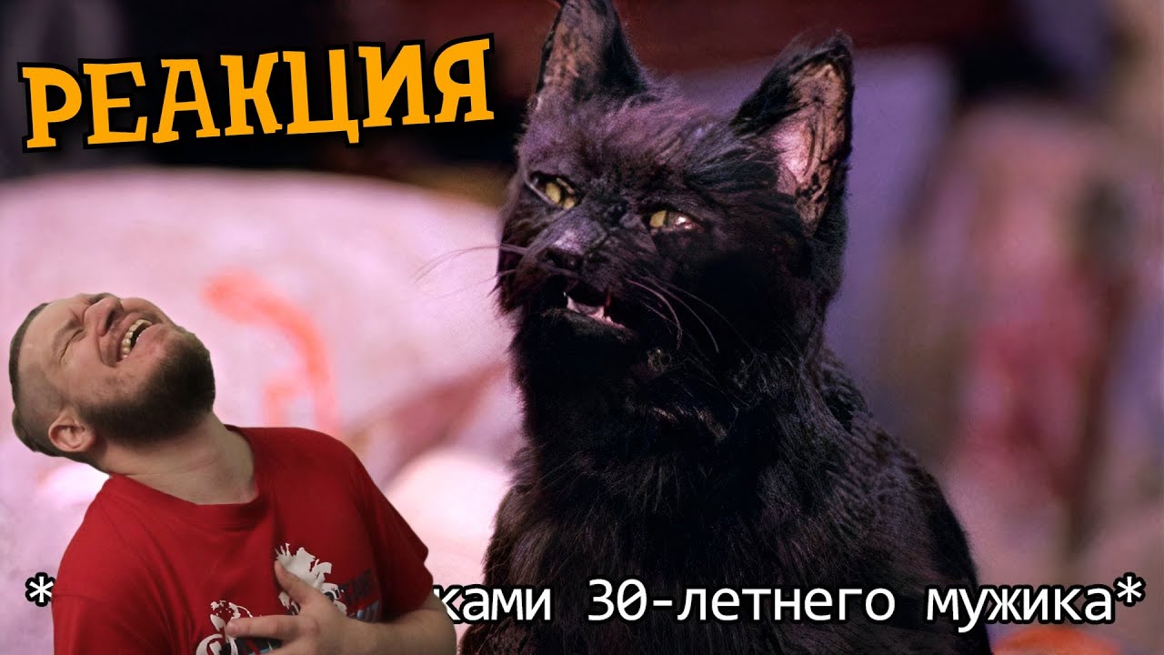 Если бы кошки могли говорить. Кот Сэлем, обычный домашний кот (Переозвучка) | РЕАКЦИЯ НА TheNafig