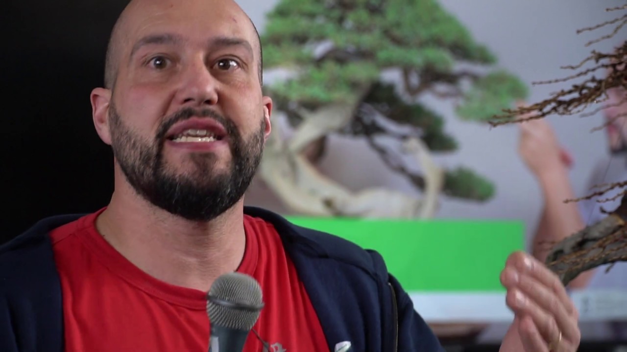 Bonsai substrates and repotting by Mauro Stemberger