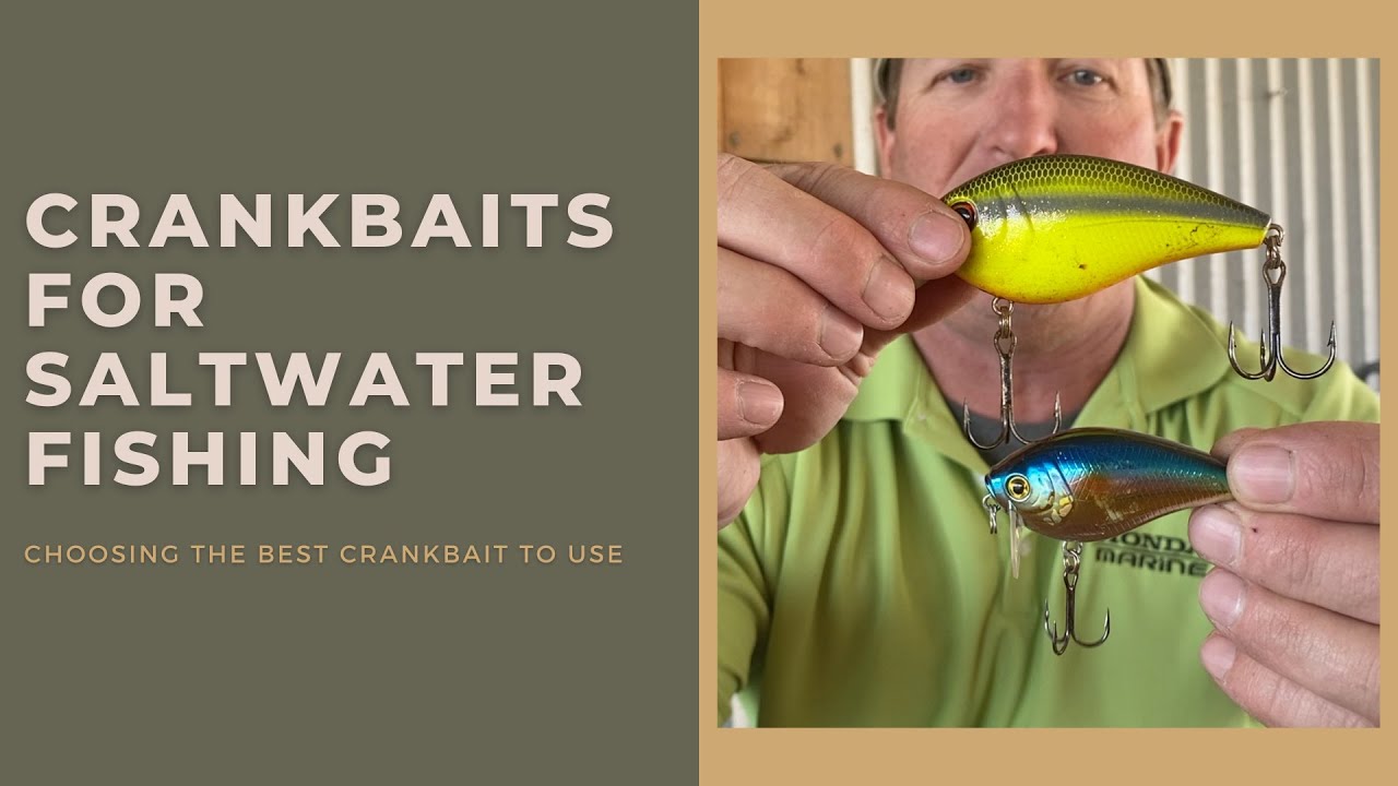 Crankbaits for Saltwater Fishing: Which to use & Best Rod N Reel Combos
