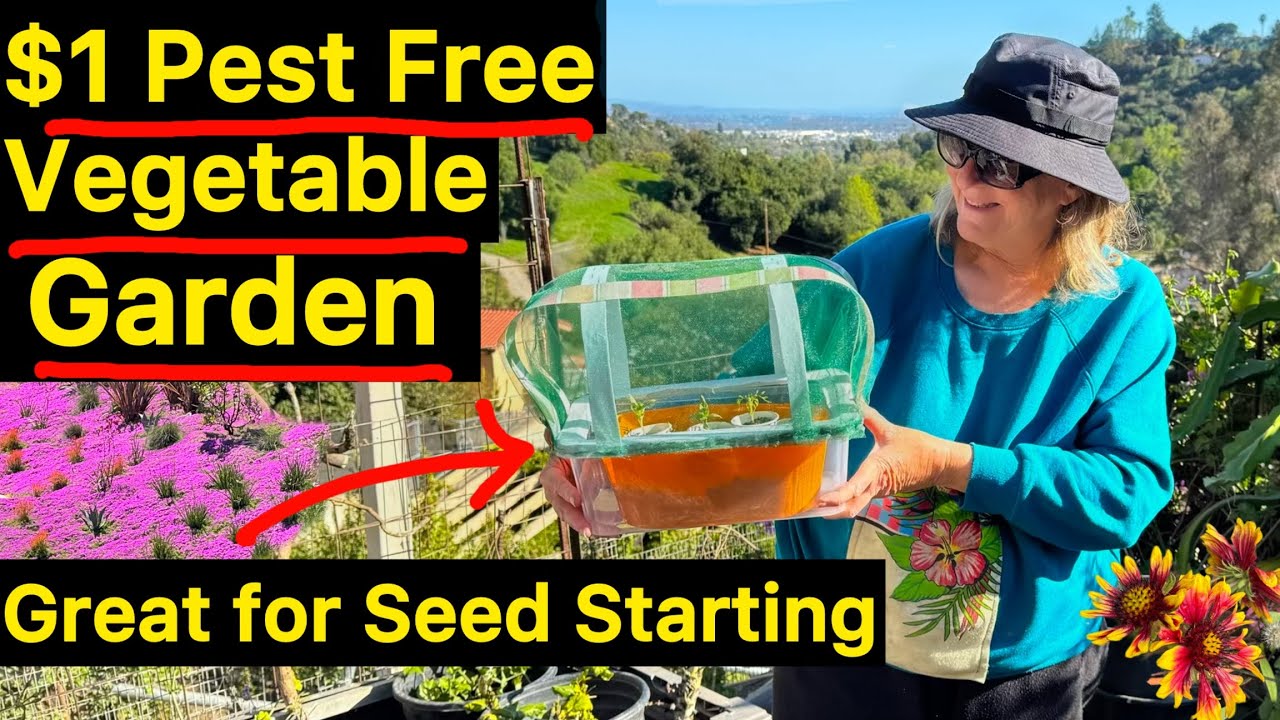 $1 Mini GARDEN DIY w/Pest Cover, Green House Protect Seeds & Plants *Container Gardening Small Space