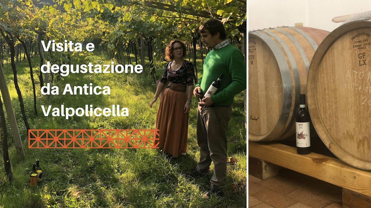 Visita in cantina con degustazione da Antica Valpolicella