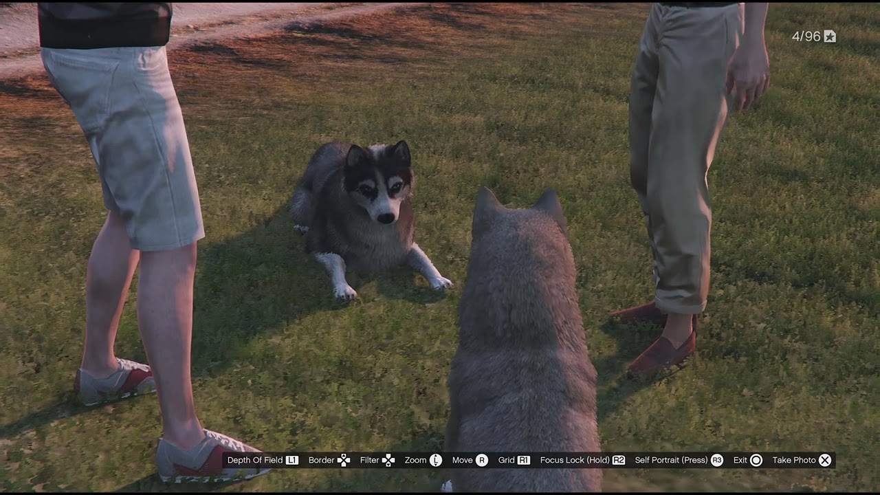 Grand Theft Auto V_20260111002415husky