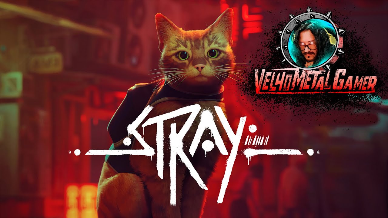 Primeira vez jogando Stray pt. 4 - Xaninho pela cidade