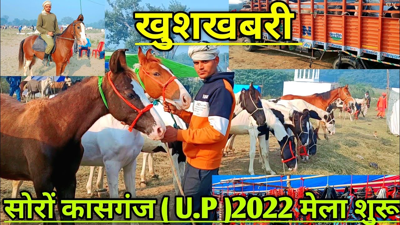 खुशखबरी सोरों कासगंज ( U.P. ) मेला 2022 शुरू।। soro horse Mela 2022 live update।।