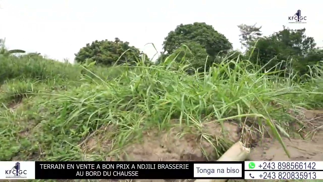 TERRAIN EN VENTE À N'SELE / N'DJILI BRASSERIE ,PRIX KITOKO+243898566142 / +243820835913