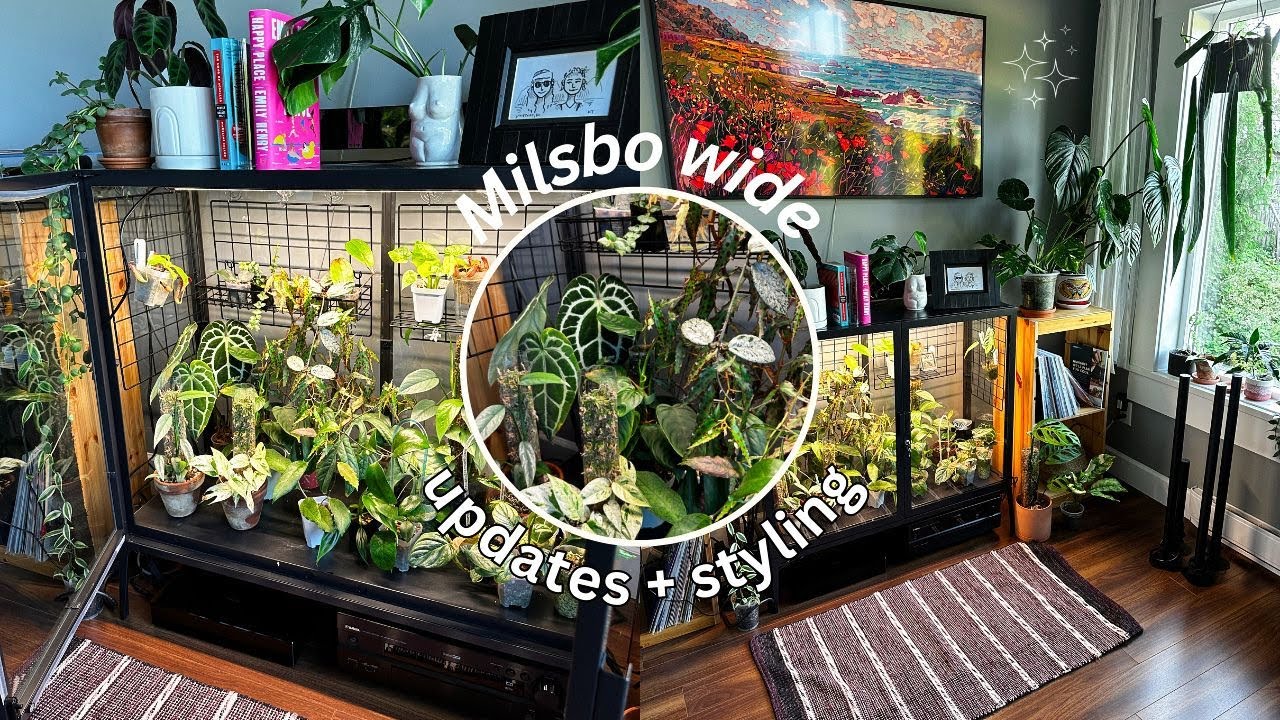 all of the plants in my ikea greenhouse cabinet + how I've styled it (milsbo wide edition)