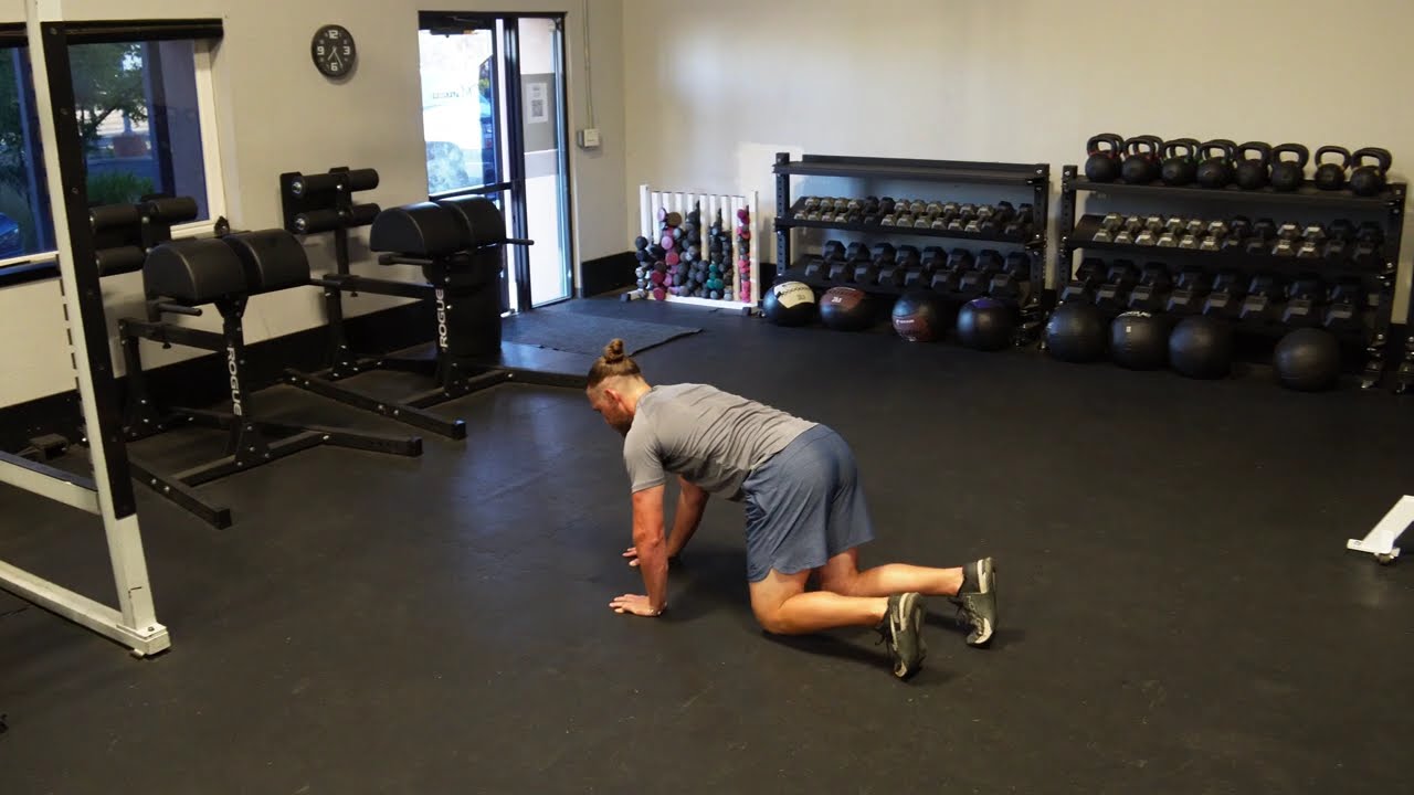 Bear Crawl (Reverse)