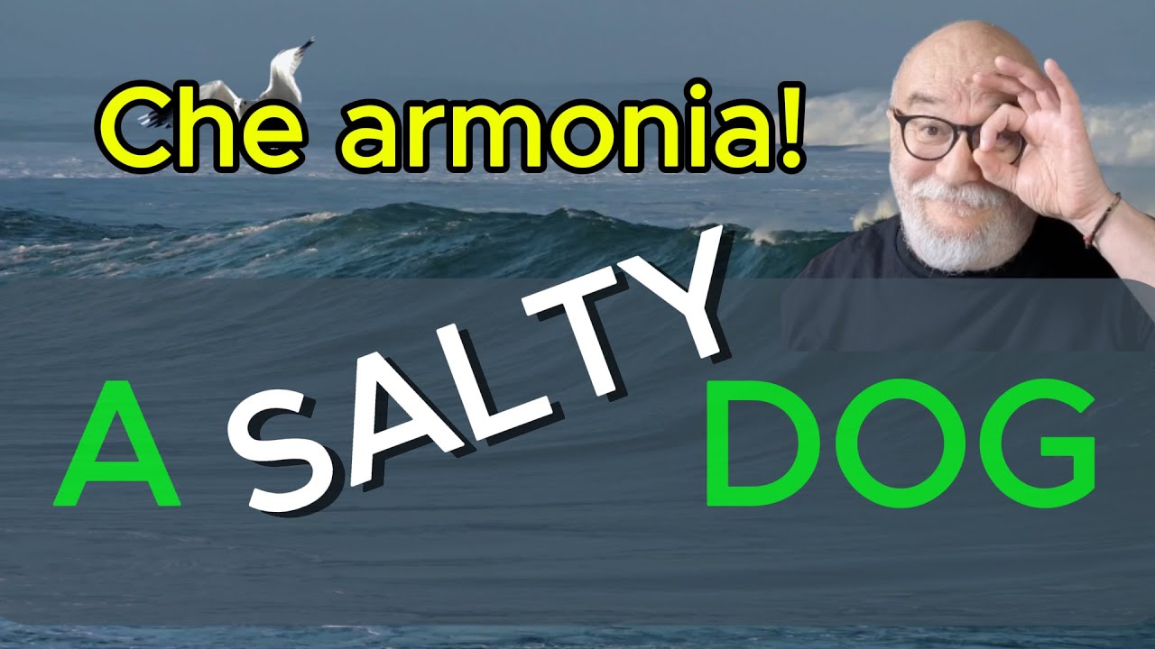 A Salty Dog - L'armonia