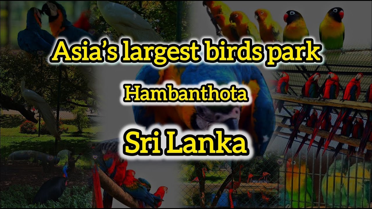 Asia’s Largest Bird Park 🦜 | Hambantota Birds Park Sri Lanka 🦚| Full Tour & Vlog