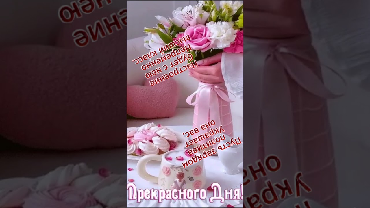 Улыбнись! Доброе утро! Прекрасного дня! Smile! Good morning! Have a nice day! #shorts