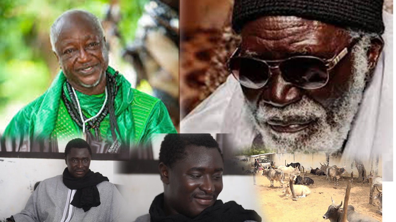 Ramadan 2026: Ndogou Baye Fall / Addiya S Cheikh Ndiguel Kala A Serigne Cheikh Ndiguel