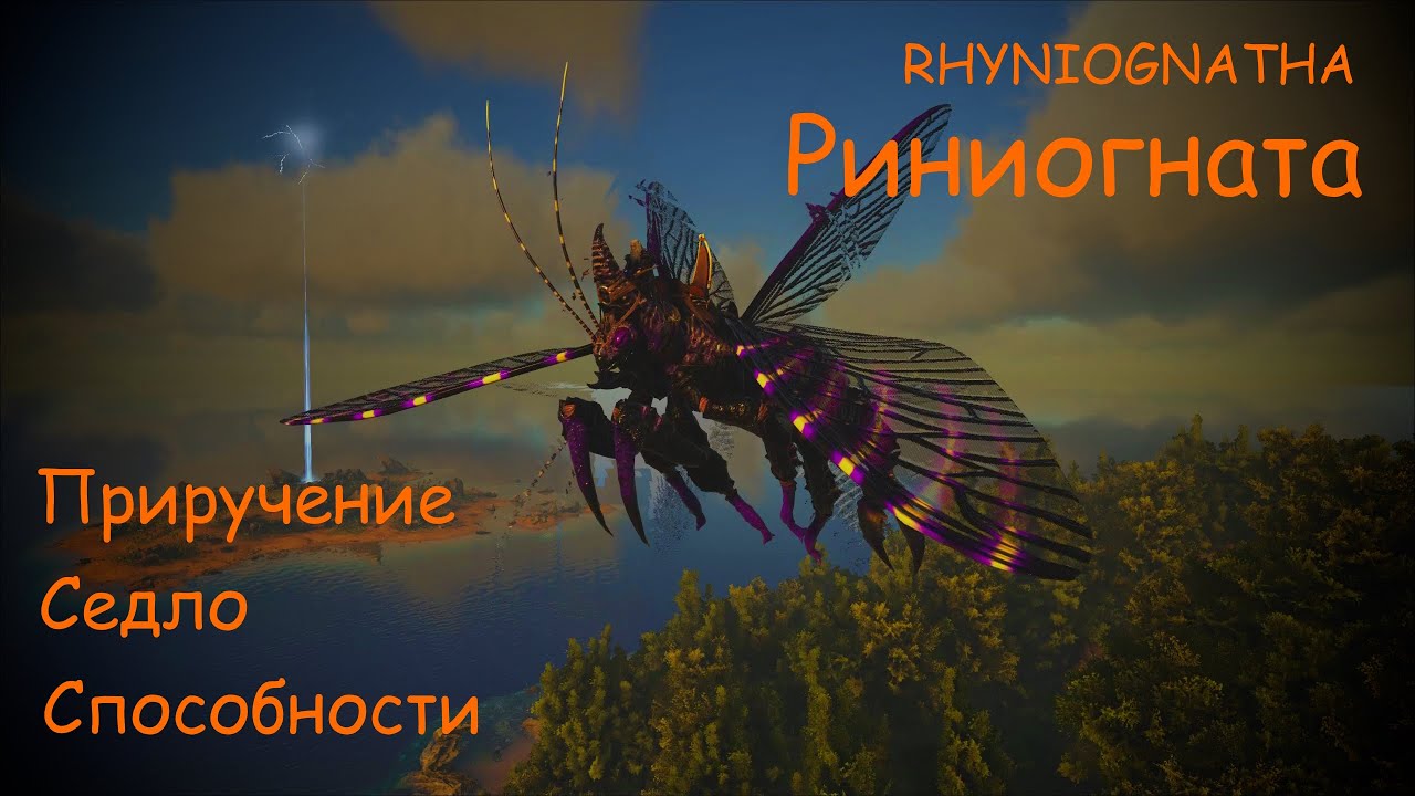 Риниогната, приручение, седло, способности / Rhyniognatha full information