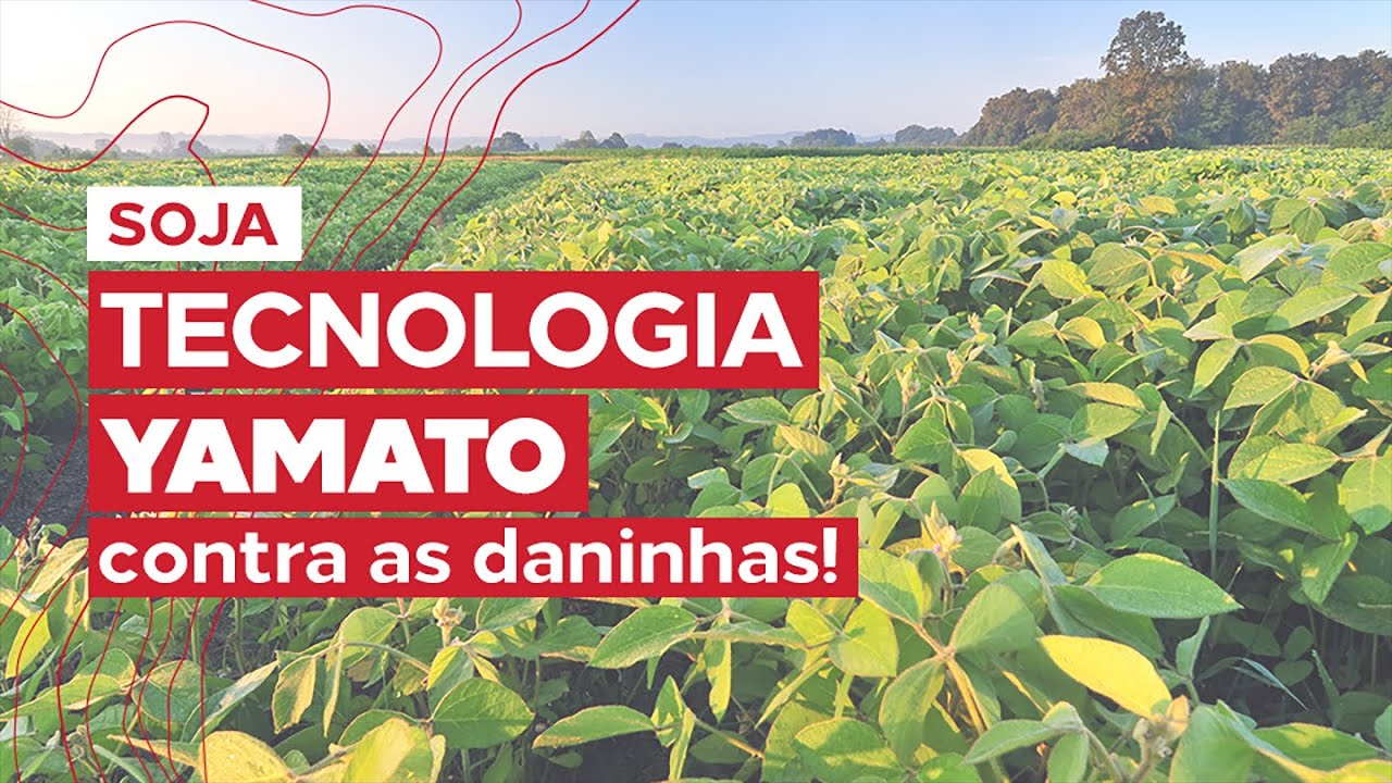 Herbicidas do Futuro - Tecnologia Yamato no controle das ervas daninhas
