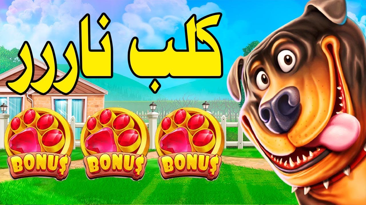 The Dog House Multihold MegaWin  🐶🎰 فرح بيا الكلب