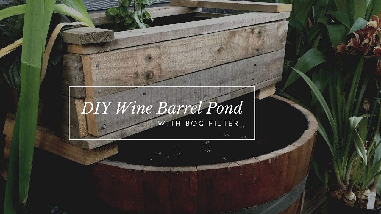 DIY wine barrel pond- with bog filter