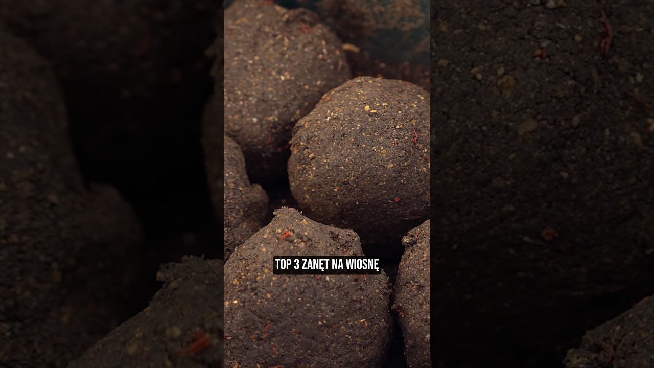 TOP 3 Fishing Baits for Spring! #fishing #fish #fishing