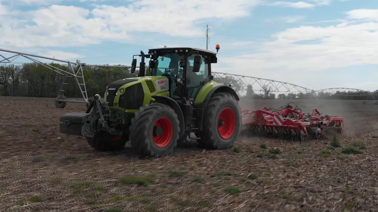 Claas Axion 850 & Horsch Tiger 4MT à la préparation des terres à maïs 2020