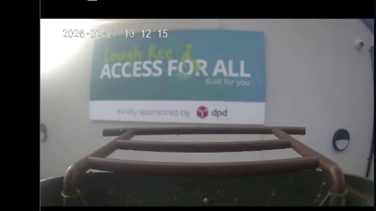 Access For All Live Bird Feeder