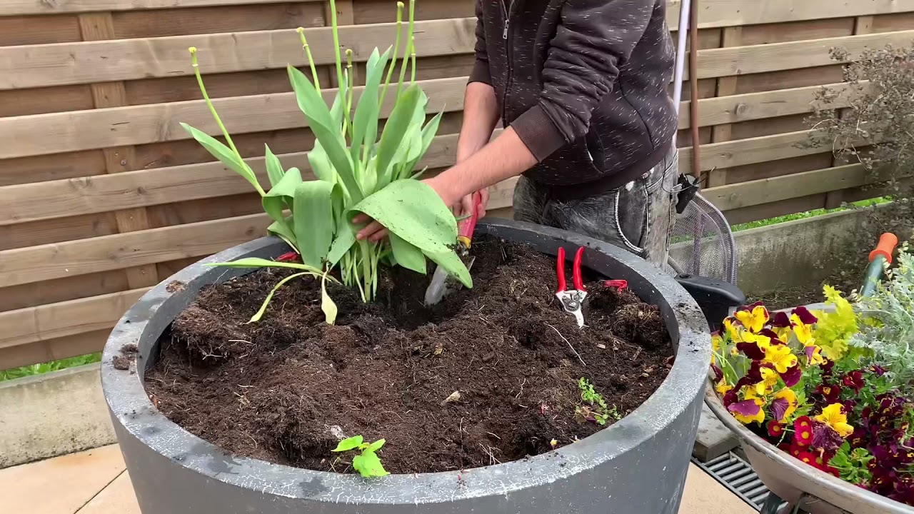 Comment faire une jardinière? Choix pratique et astuces